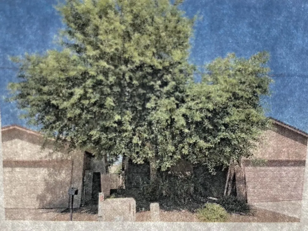 Top-rated residential landscaping near you across Phoenix, AZ - Jaguars Landscaping