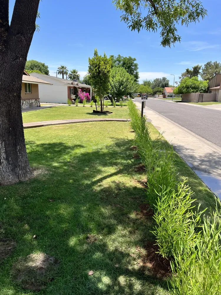 Top-rated yard maintenance in Phoenix, AZ by Jaguars Landscaping