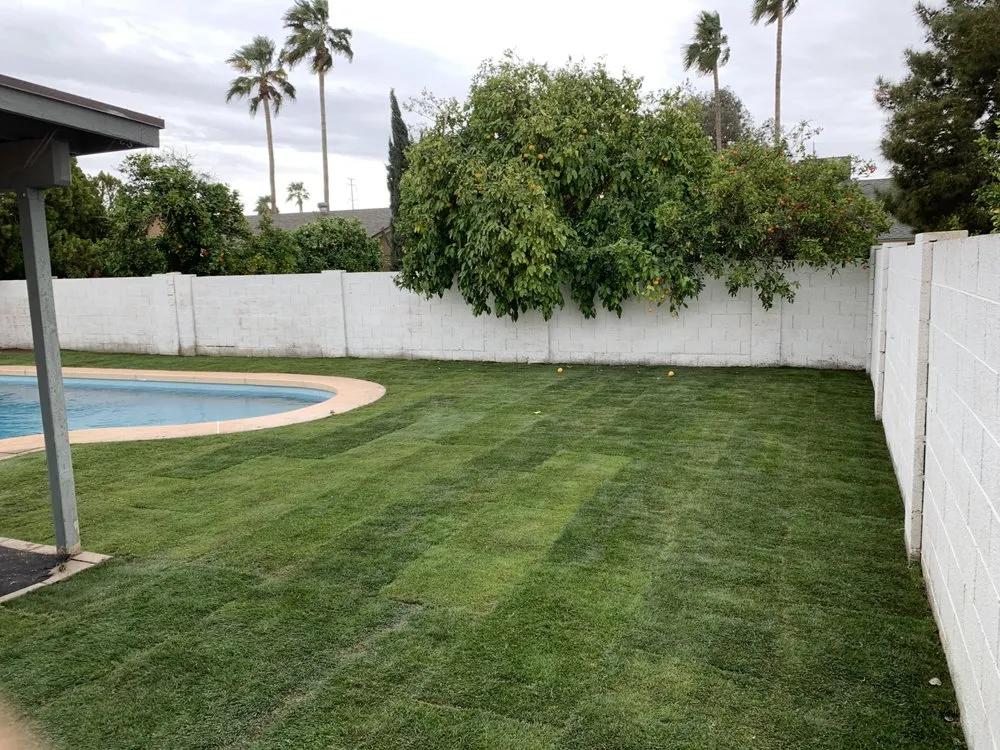Custom lawn mowing service in Phoenix, AZ - Jaguars Landscaping