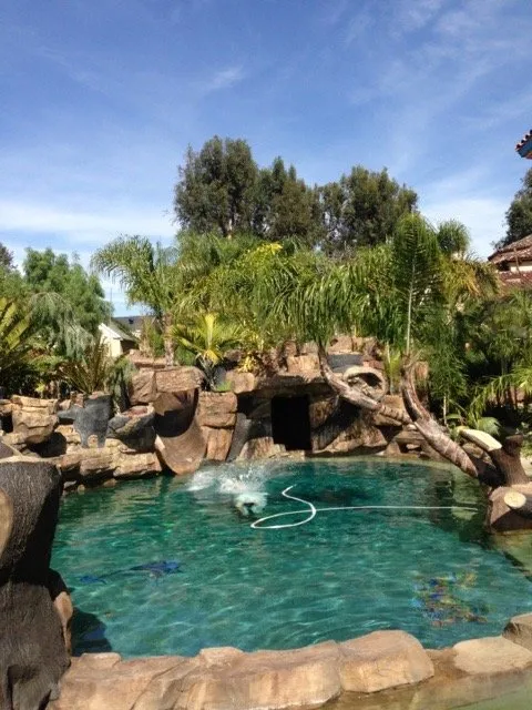 Local yard maintenance in Perris, CA by Jaicarfer Building & Landscaping