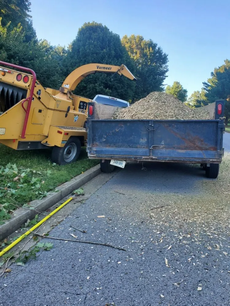 Reliable landscape design in Danville, KY - Jaime Landscaping