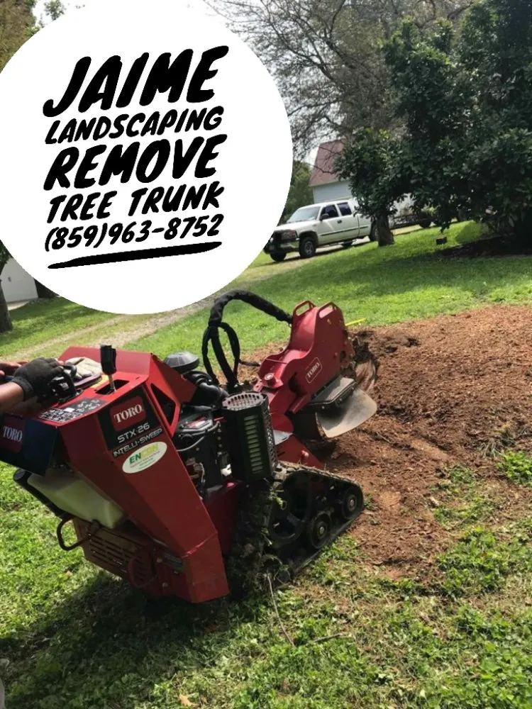 Top-rated outdoor landscaping for beautiful yards across Danville, KY - Jaime Landscaping