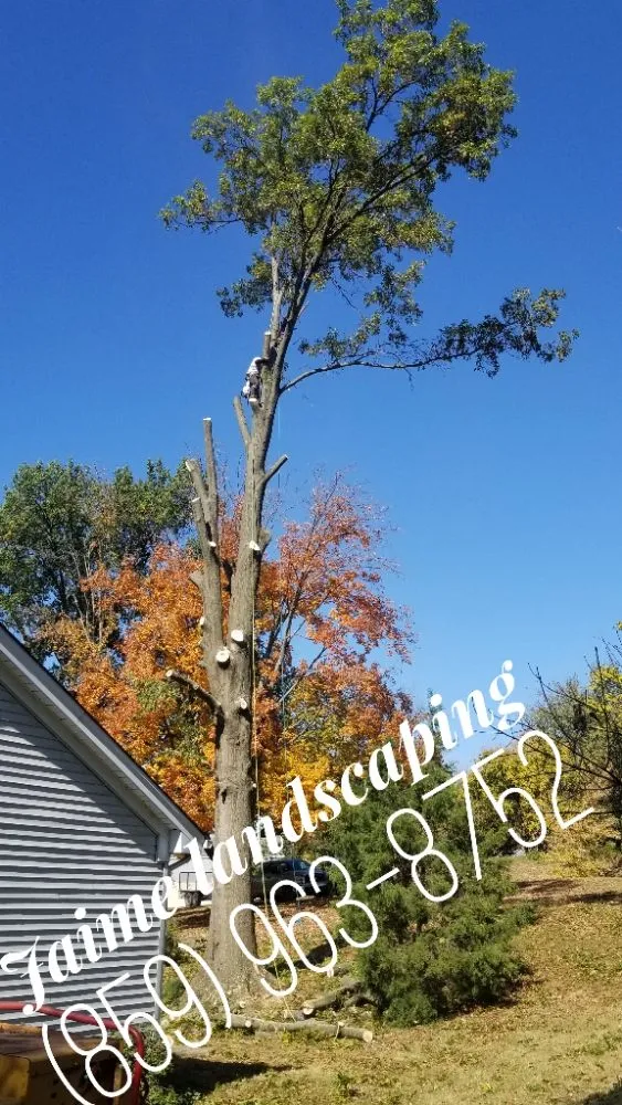 Professional landscape design for beautiful yards across Danville, KY - Jaime Landscaping