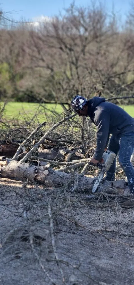 Trusted outdoor landscaping for year-round maintenance across Danville, KY - Jaime Landscaping