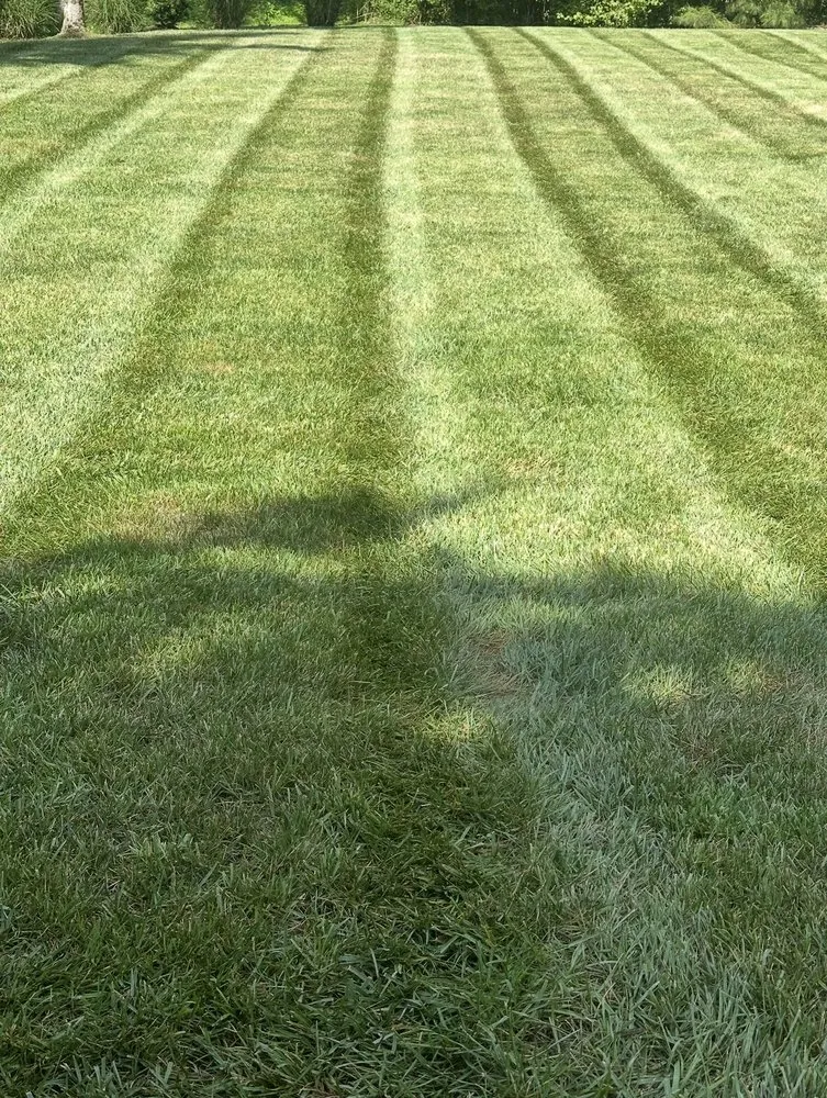 Top-rated residential landscaping in Monroe, NC by Jaime Landscaping