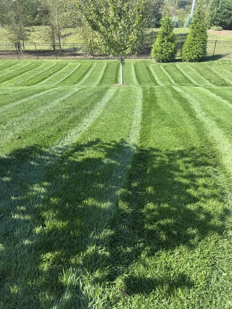 Custom garden landscaping for residential properties in Monroe, NC by Jaime Landscaping