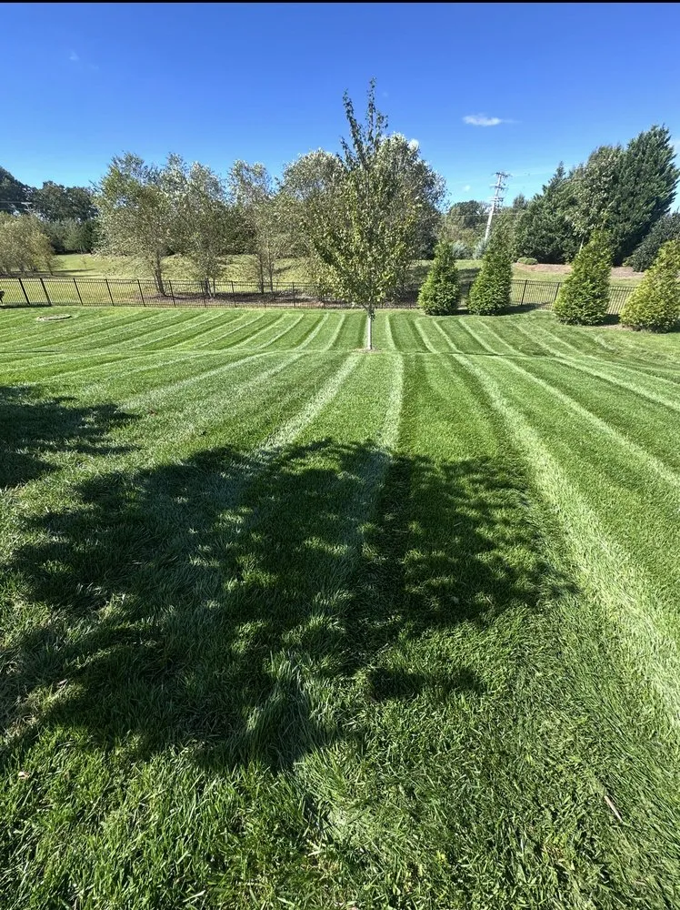 Top-rated yard maintenance in Monroe, NC by Jaime Landscaping