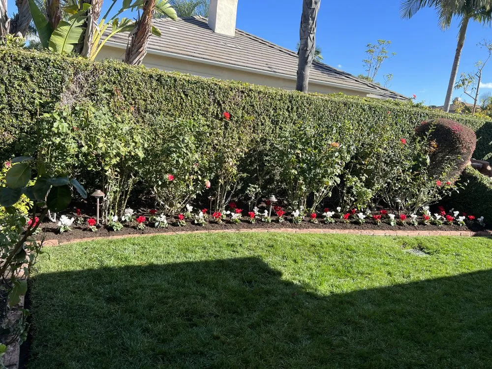 Custom yard cleanup service in Orange, CA - Jaime Romero Landscape & Construction