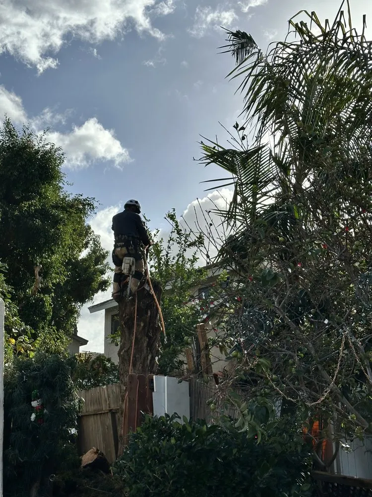 Reliable residential landscaping for residential properties in Orange, CA by Jaime Romero Landscape & Construction