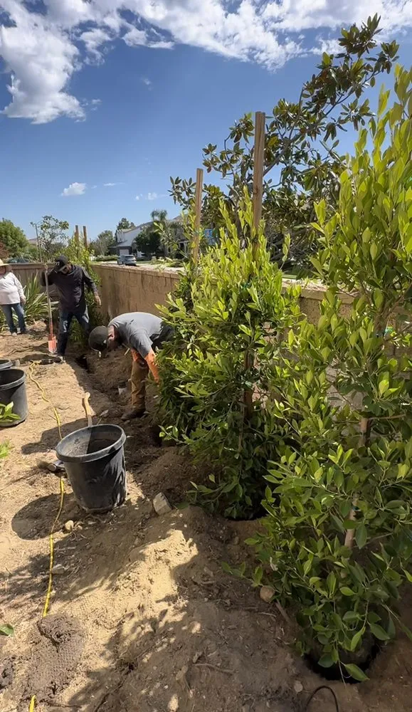 Custom outdoor landscaping experts serving Orange, CA - Jaime Romero Landscape & Construction