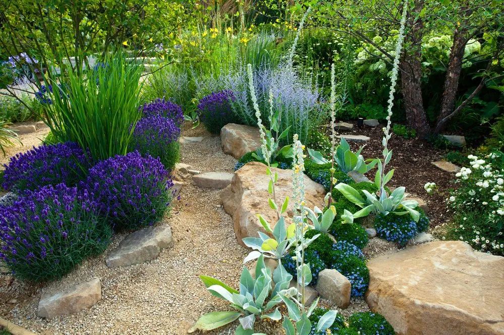 Local outdoor landscaping for residential properties across Woodland Hills, CA - Jaime Sanchez Landscaping