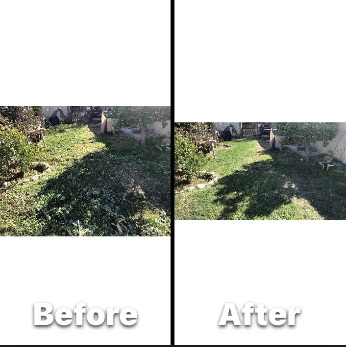 Top-rated residential landscaping in Yuma, AZ by Jaime Torres Landscaping Service