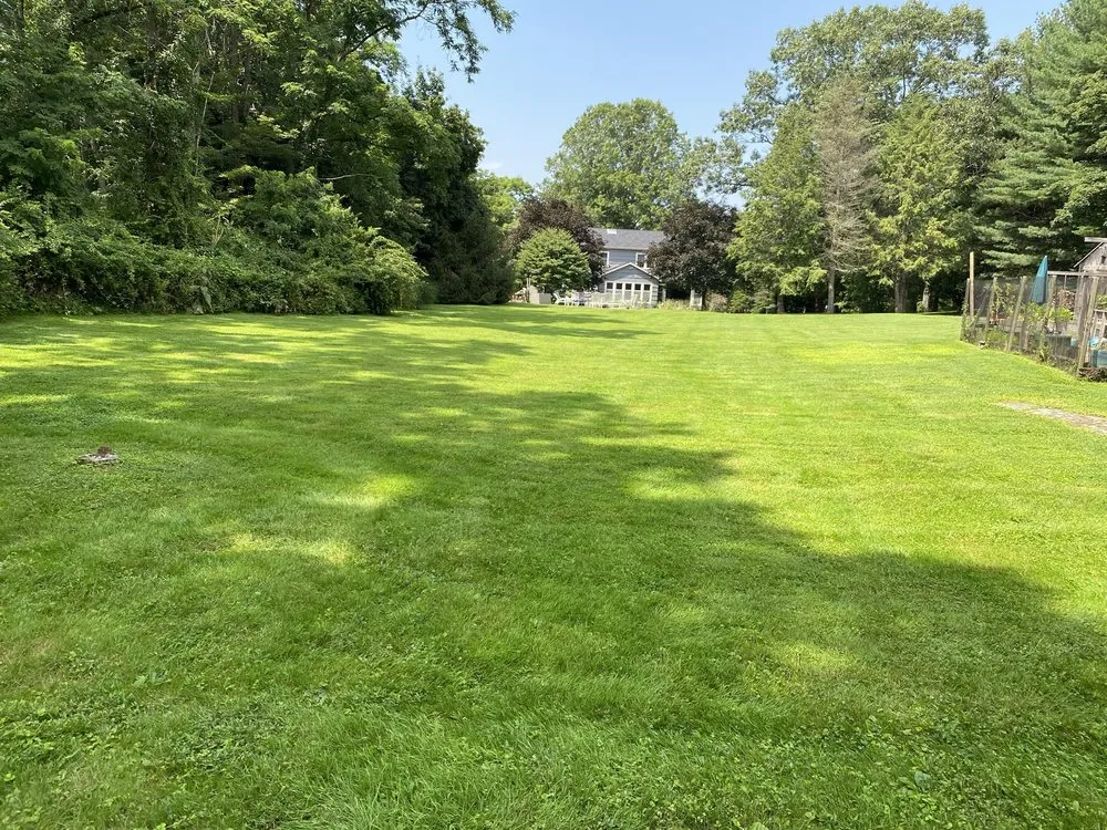 Top-rated lawn care service experts serving Stamford, CT - Jaime Tree Services and Landscaping