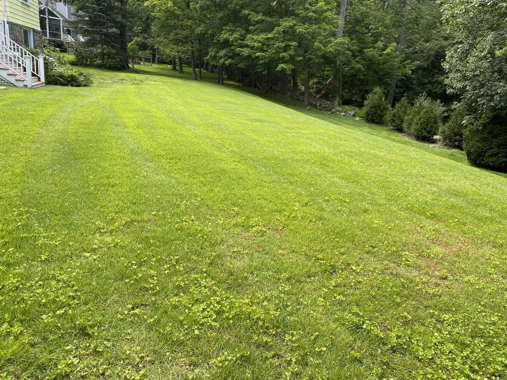 Reliable lawn care service in Stamford, CT - Jaime Tree Services and Landscaping