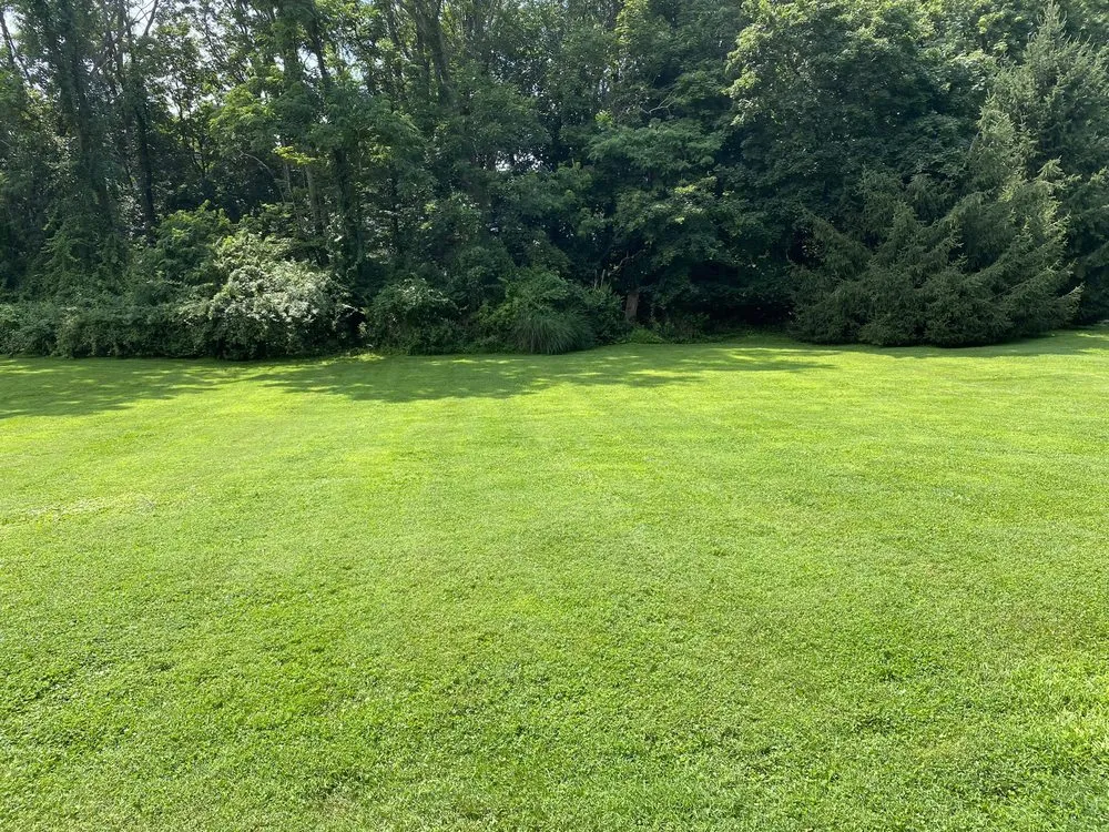 Custom outdoor landscaping near you across Stamford, CT - Jaime Tree Services and Landscaping