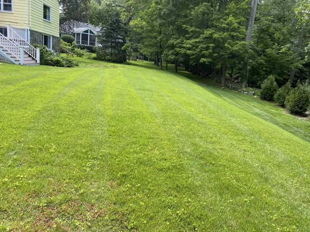 Affordable yard cleanup service with custom design across Stamford, CT - Jaime Tree Services and Landscaping