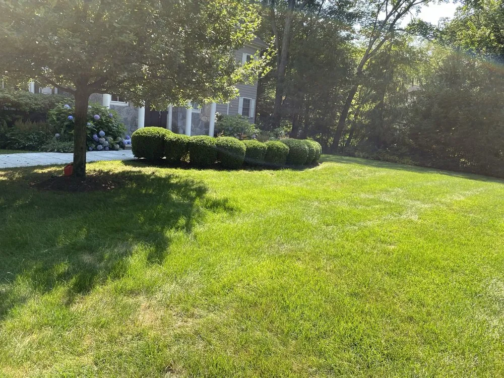 Trusted lawn mowing service experts serving Stamford, CT - Jaime Tree Services and Landscaping