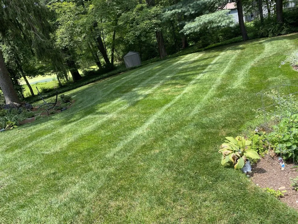 Professional landscape design experts serving Stamford, CT - Jaime Tree Services and Landscaping