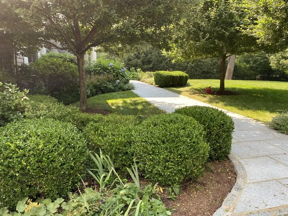 Local landscaping services experts serving Stamford, CT - Jaime Tree Services and Landscaping