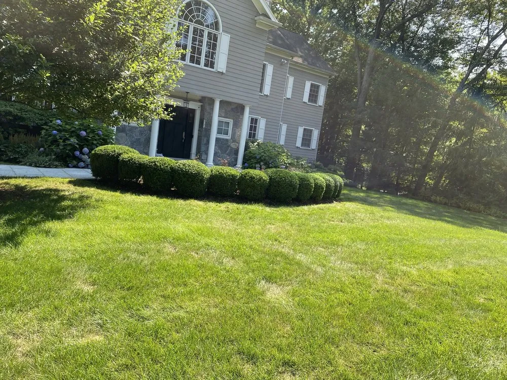 Affordable landscape installation in Stamford, CT by Jaime Tree Services and Landscaping