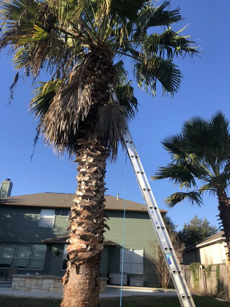 Top-rated lawn mowing service with custom design in Cedar Park, TX by Jaimes Brothers Lawn And Landscaping