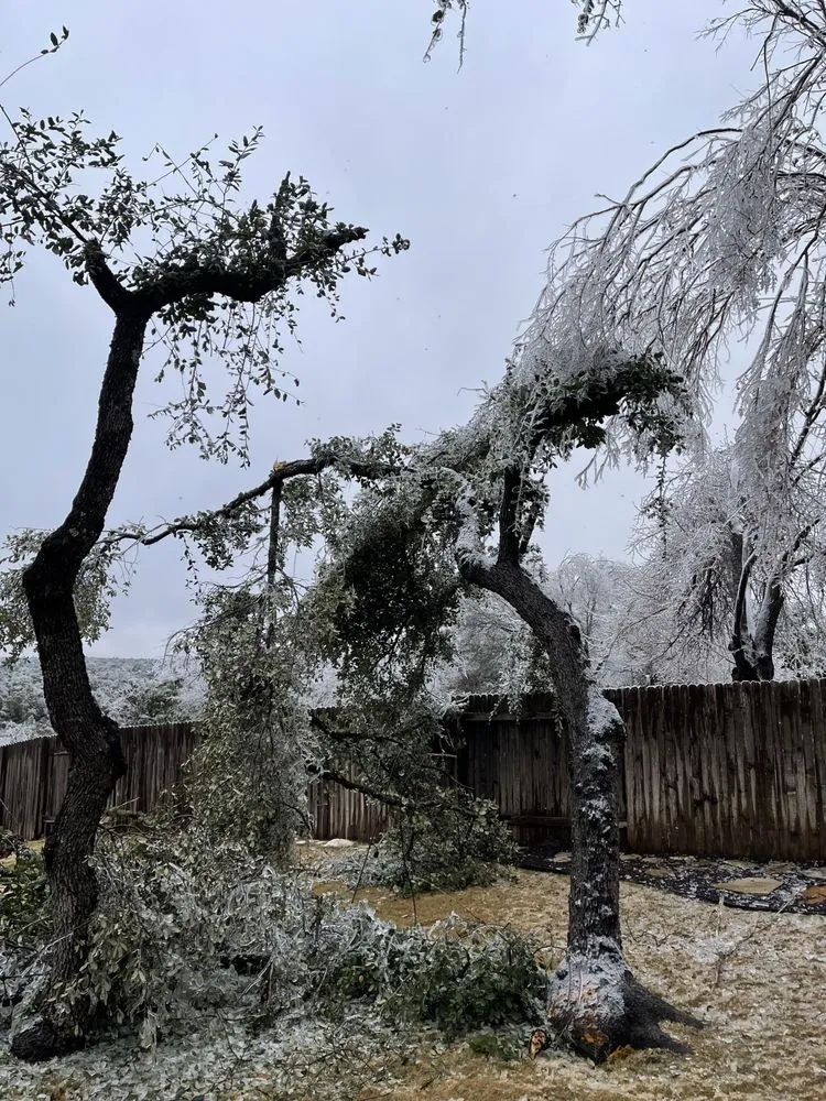 Custom landscape design in Cedar Park, TX by Jaimes Brothers Lawn And Landscaping