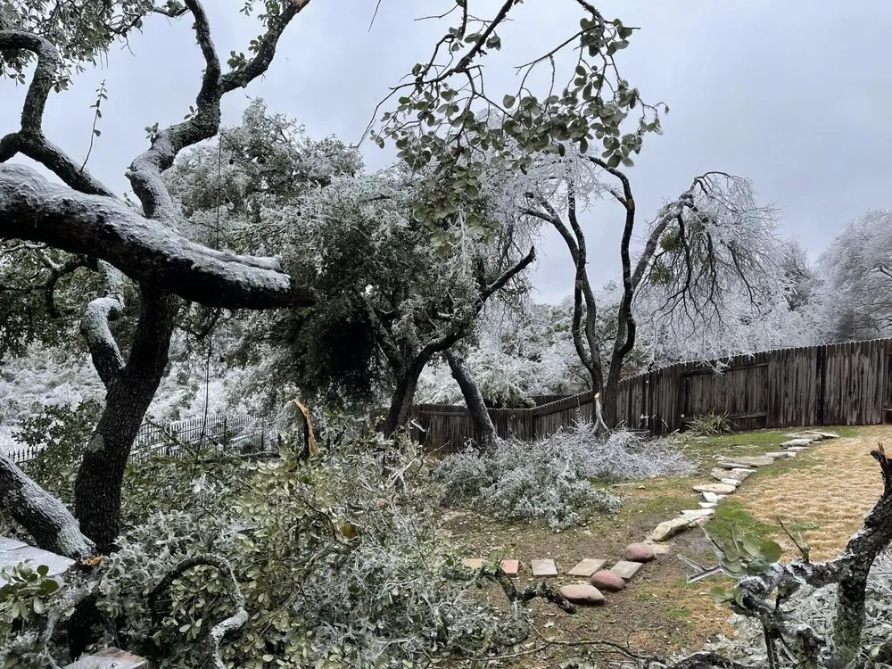 Professional residential landscaping in Cedar Park, TX - Jaimes Brothers Lawn And Landscaping