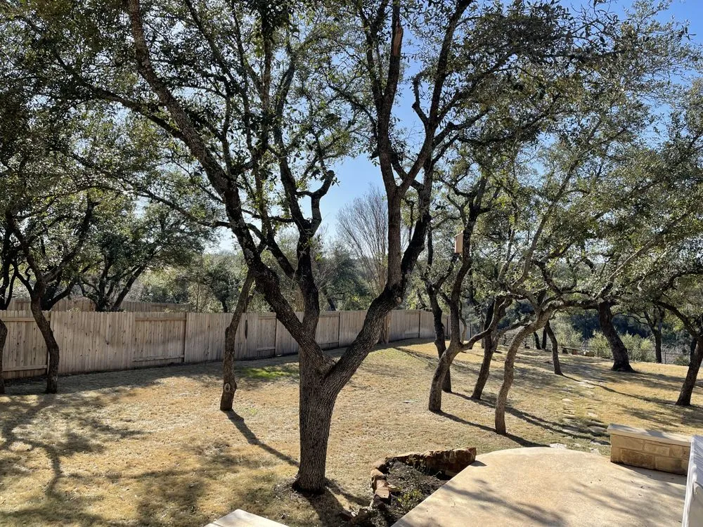 Affordable outdoor landscaping experts serving Cedar Park, TX - Jaimes Brothers Lawn And Landscaping