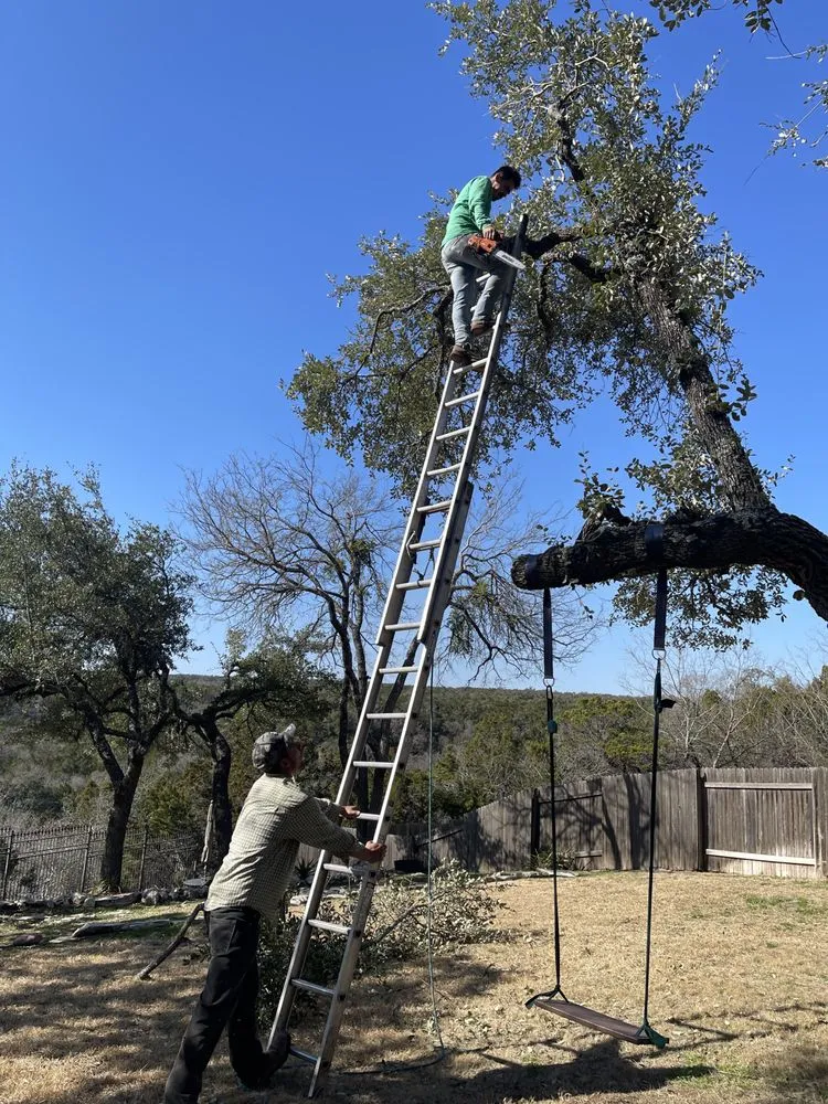 Expert lawn mowing service with custom design across Cedar Park, TX - Jaimes Brothers Lawn And Landscaping