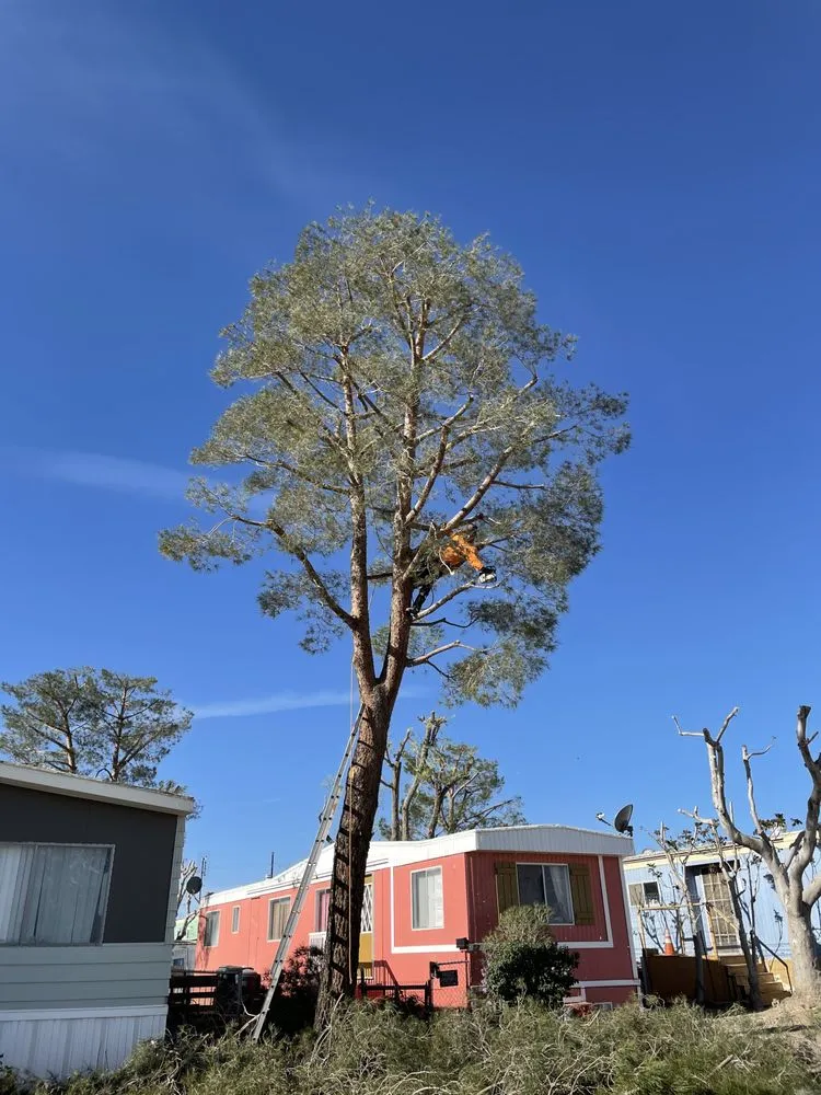 Professional landscaping services near you across Riverside, CA - Jaime's Gardening & Landscaping Services