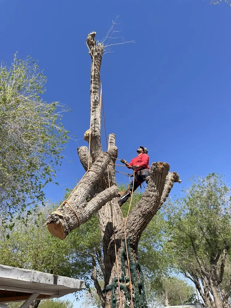Professional landscape installation in Riverside, CA - Jaime's Gardening & Landscaping Services