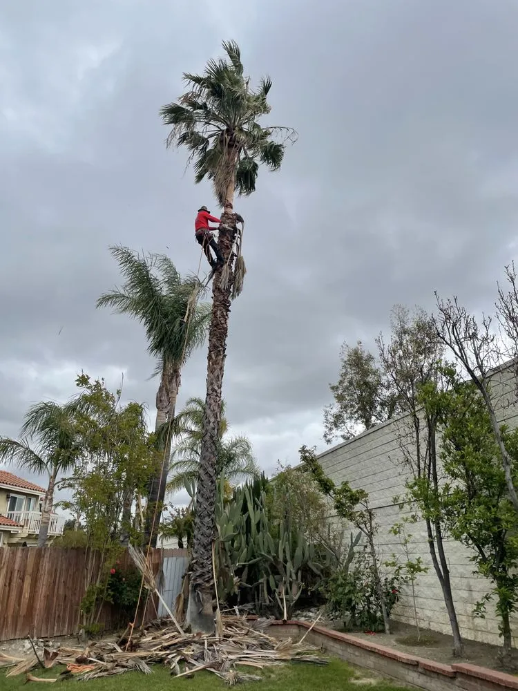 Local lawn care service in Riverside, CA by Jaime's Gardening & Landscaping Services