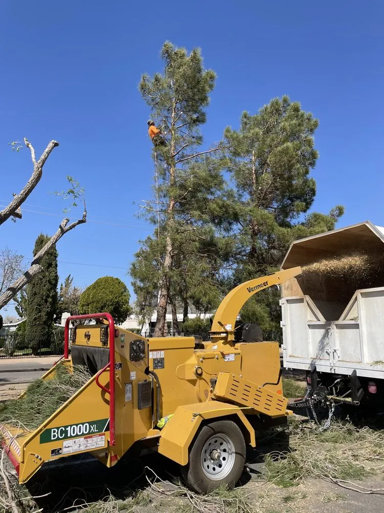 Professional landscape design experts serving Riverside, CA - Jaime's Gardening & Landscaping Services