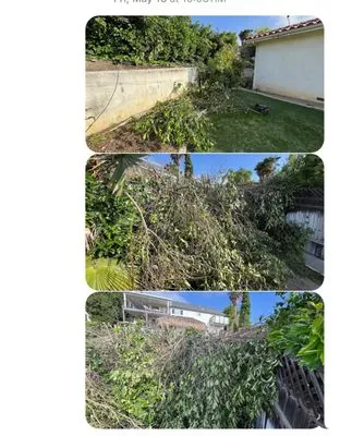 Jaime's Gardening & Landscaping Services Logo