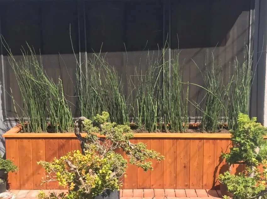 Reliable yard maintenance for beautiful yards in South Gate, CA by Jaime's Landscape and Fences