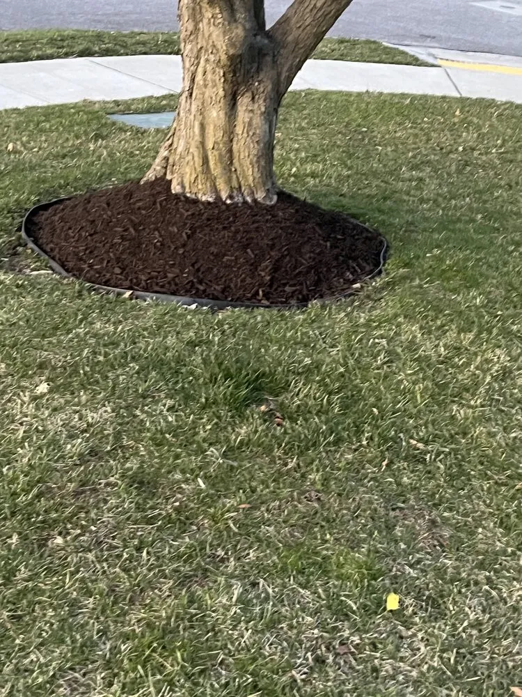 Expert lawn care service for year-round maintenance in Lake Shore, MD by Jaime's Lawn Care