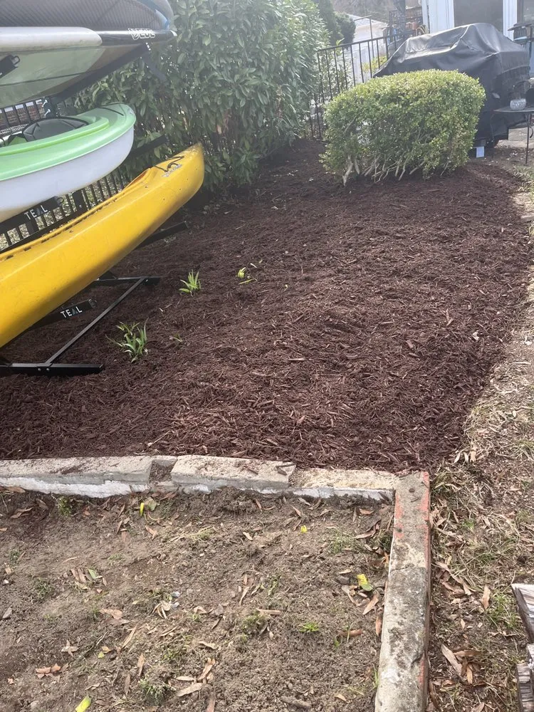 Top-rated yard cleanup service for beautiful yards across Lake Shore, MD - Jaime's Lawn Care