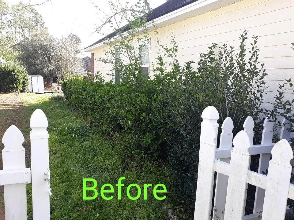 Trusted residential landscaping experts serving Valdosta, GA - Jaime's Lawn Care Services