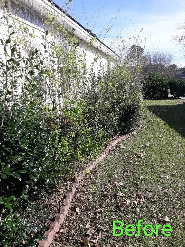 Expert landscape design in Valdosta, GA - Jaime's Lawn Care Services