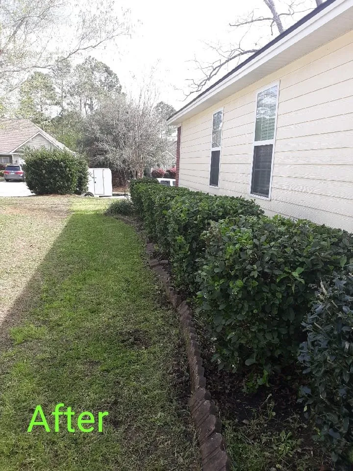 Trusted landscape installation for year-round maintenance across Valdosta, GA - Jaime's Lawn Care Services