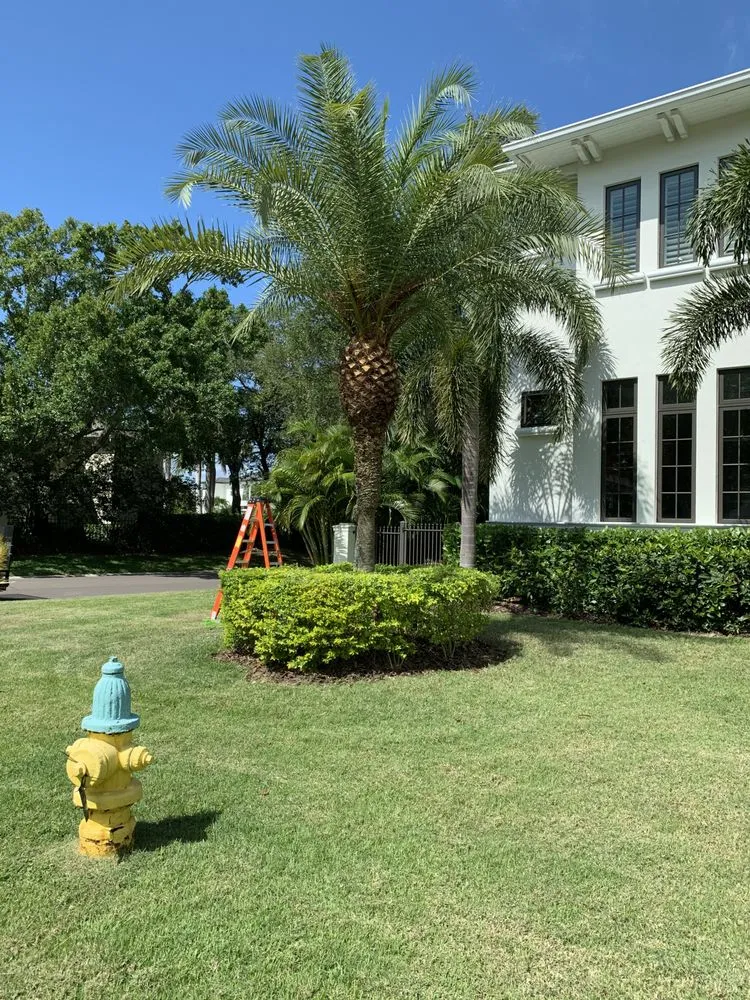 Top-rated yard maintenance in Tampa, FL - Jaimes Uribe Landscaping