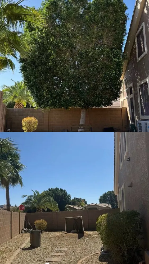 Affordable yard cleanup service experts serving Avondale, AZ - Jairo Landscaping