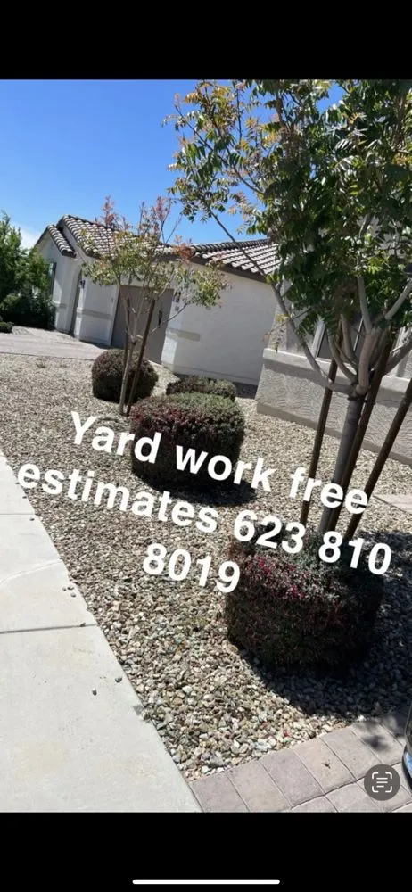 Affordable landscaping services in Avondale, AZ by Jairo Landscaping