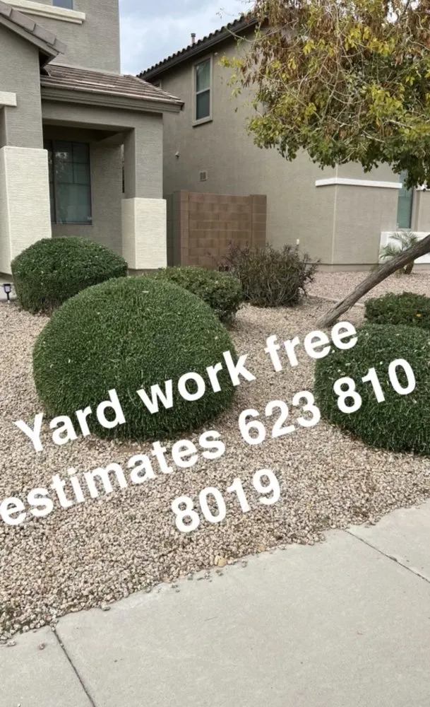 Trusted lawn care service in Avondale, AZ - Jairo Landscaping