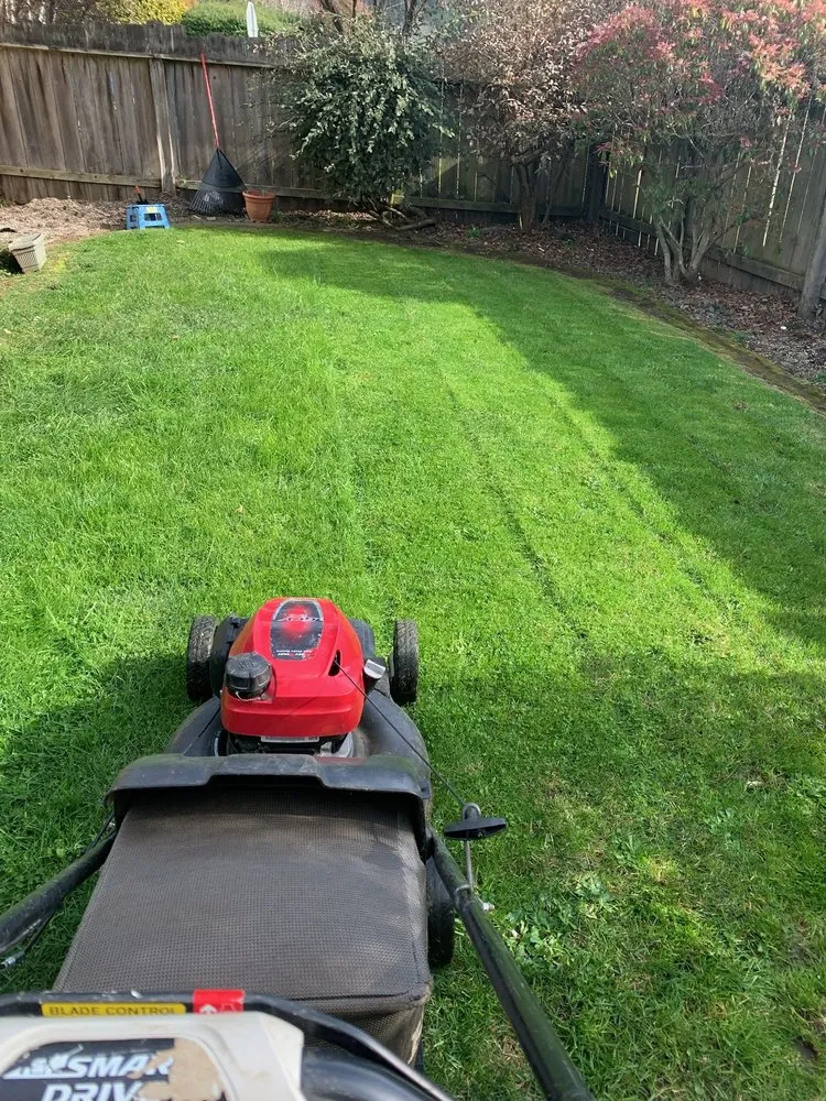 Custom yard cleanup service in Eureka, CA by Jairo's Gardening Service