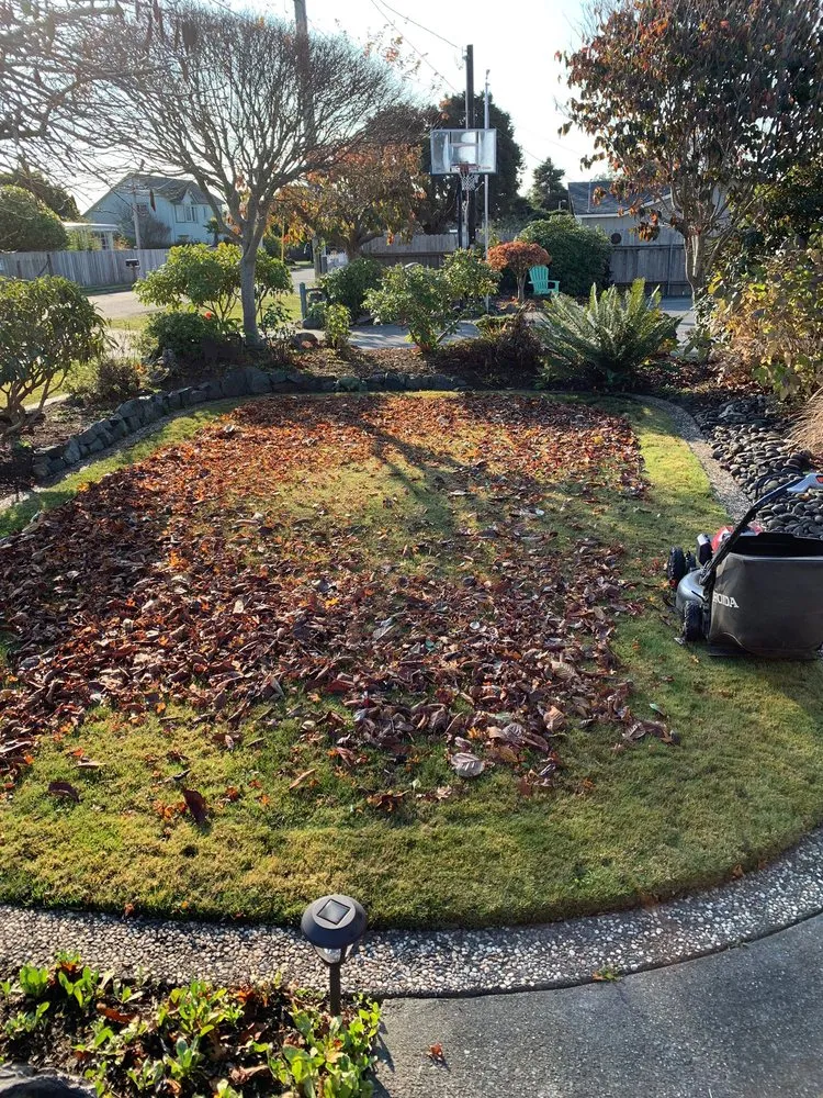 Expert outdoor landscaping for beautiful yards in Eureka, CA by Jairo's Gardening Service
