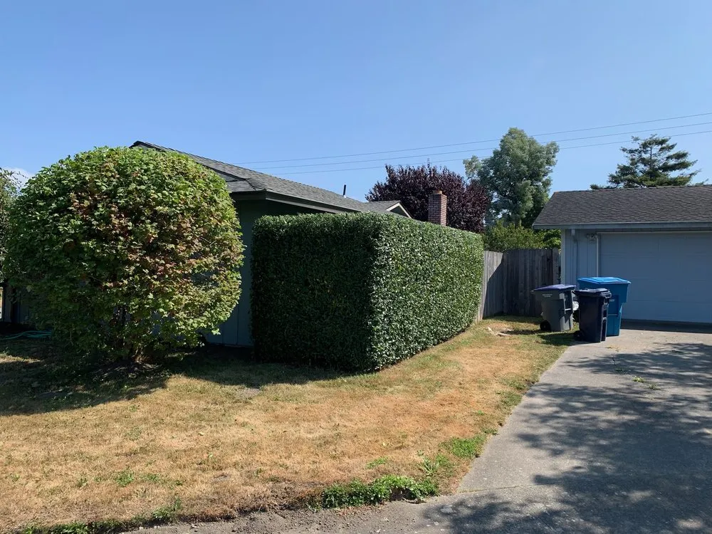 Custom landscape installation in Eureka, CA by Jairo's Gardening Service