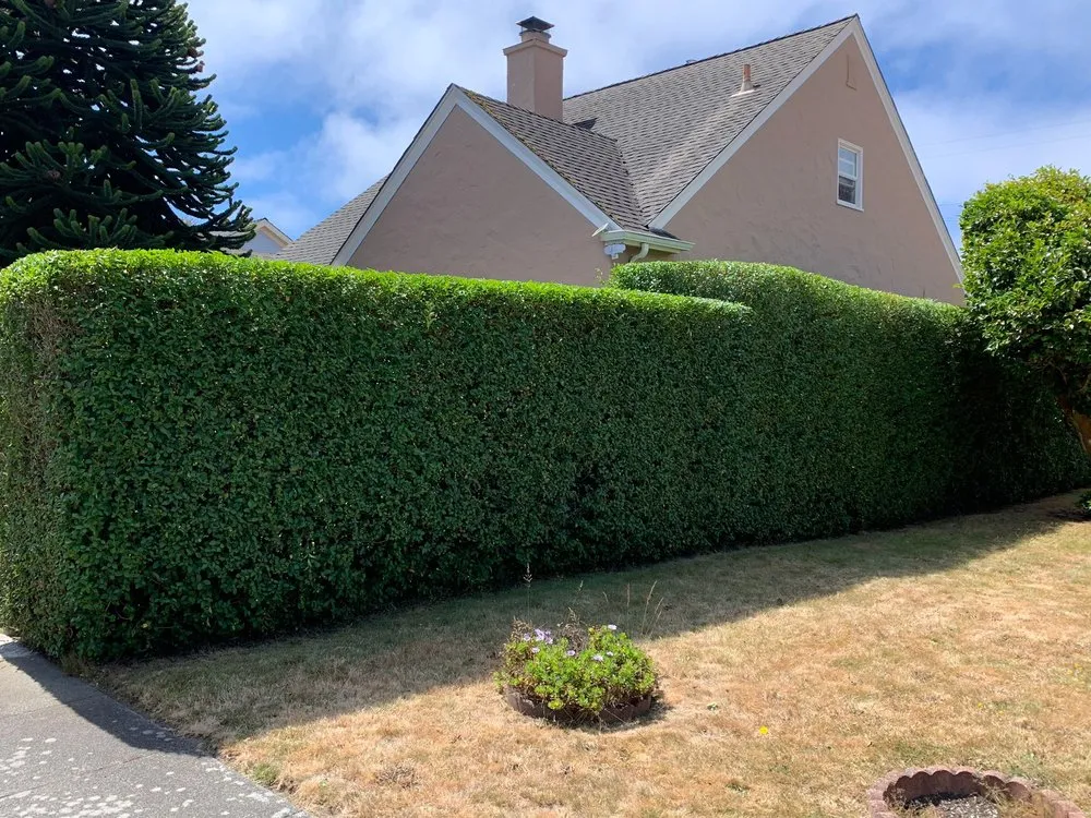 Trusted garden landscaping for homes in Eureka, CA by Jairo's Gardening Service