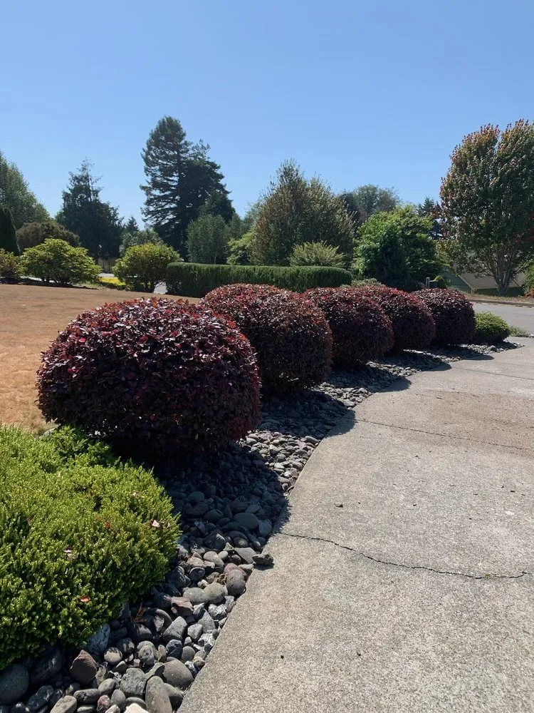 Top-rated landscape design in Eureka, CA by Jairo's Gardening Service