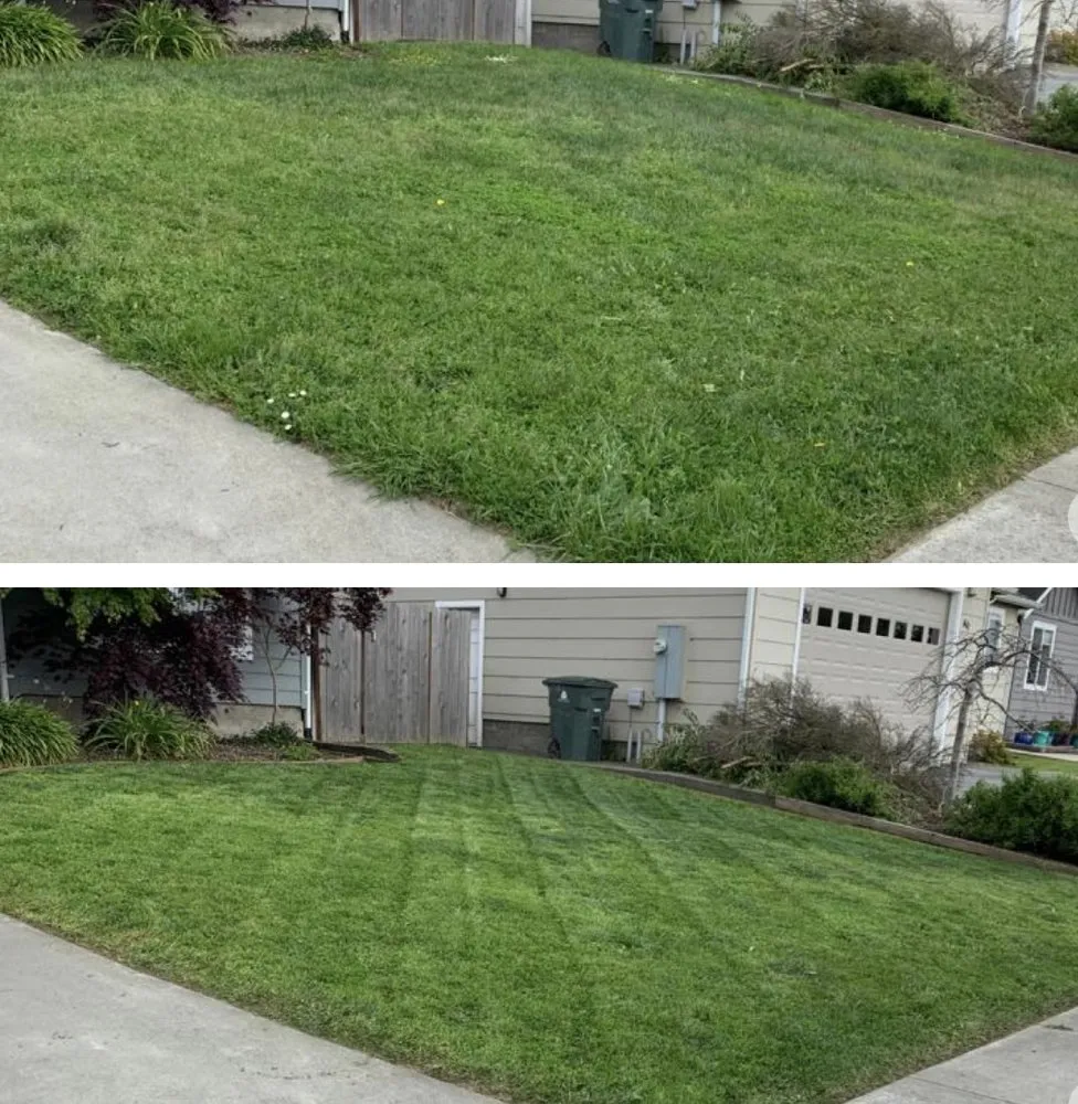 Local landscape design in Eureka, CA - Jairo's Gardening Service